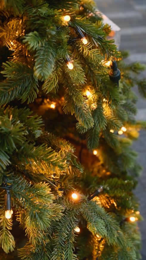 圣诞树 灯饰高清壁纸图片 1588x2822