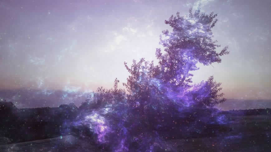 梦幻的光斑与树高清壁纸图片 2560x1440