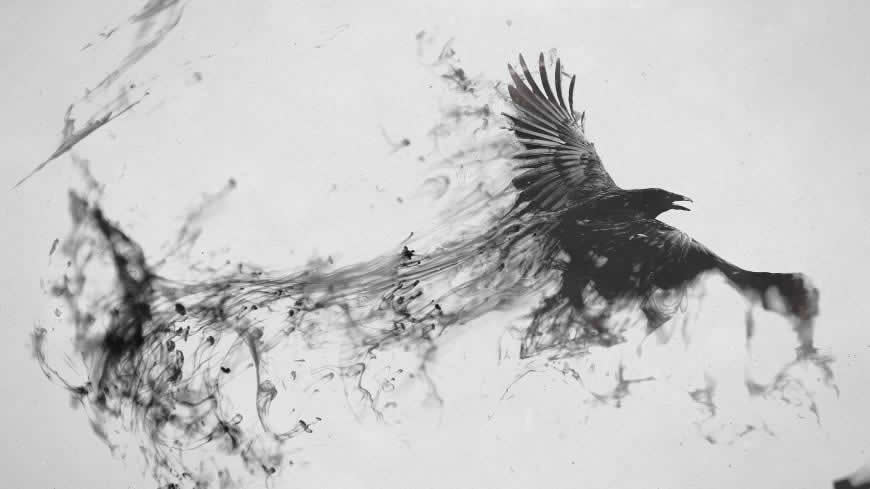 黑白 烟雾形成的乌鸦高清壁纸图片 1920x1080