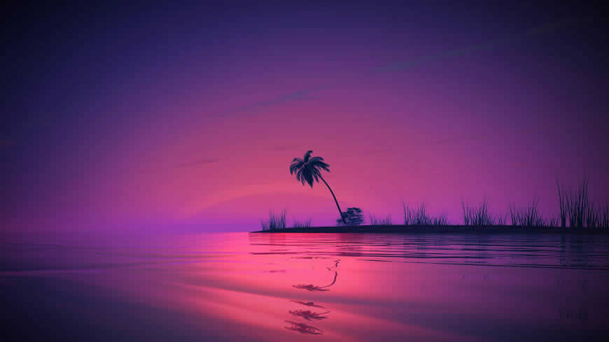 日落 大海 棕榈树高清壁纸图片 3840x2160