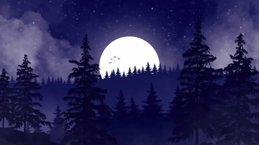 夜晚 森林 月亮 风景插画高清壁纸图片 5120x2880