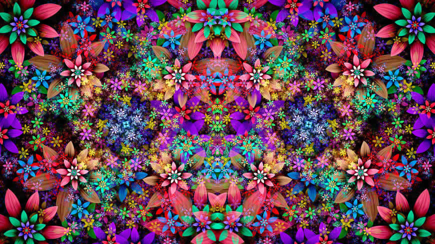 五颜六色的花卉插画高清壁纸图片 3840x2160