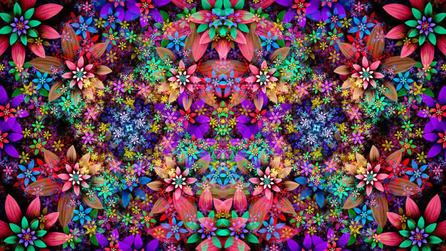 五颜六色的花卉插画高清壁纸图片 3840x2160