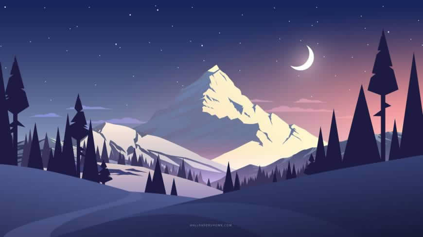 夜晚的山上插画高清壁纸图片 2560x1440