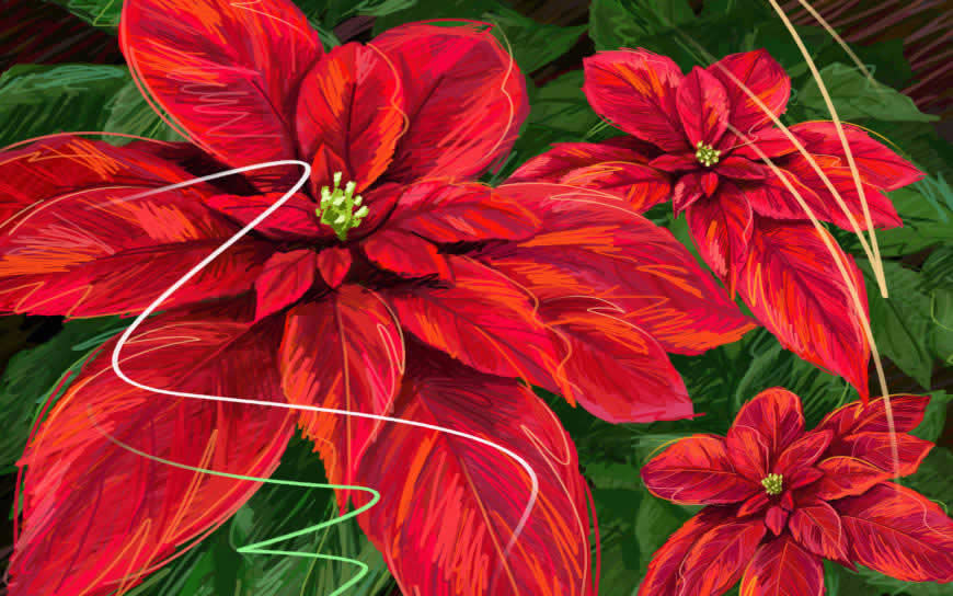 红色植物叶子插画高清壁纸图片 1920x1200