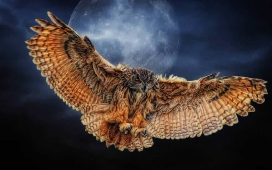 月下展翅的猫头鹰绘画高清壁纸图片 1920x1200