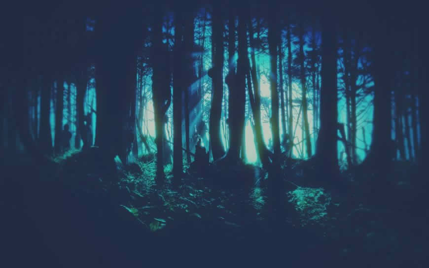 黑暗的森林高清壁纸图片 1920x1200
