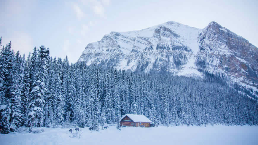 加拿大 冬天 路易丝湖 雪山 森林高清壁纸图片 5120x2880