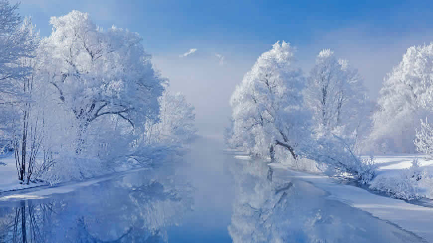 冬天 雪景 河流 树高清壁纸图片 5120x2880