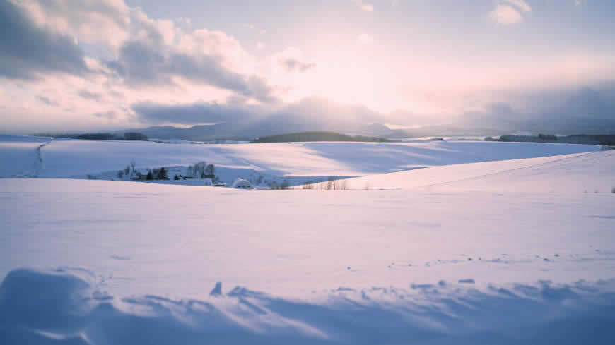 雪景 雪高清壁纸图片 1920x1080