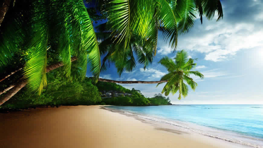 海滩 棕榈树高清壁纸图片 3840x2160