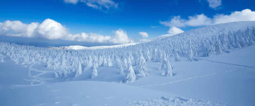 冬天 蓝天 雪景高清壁纸图片 3440x1440