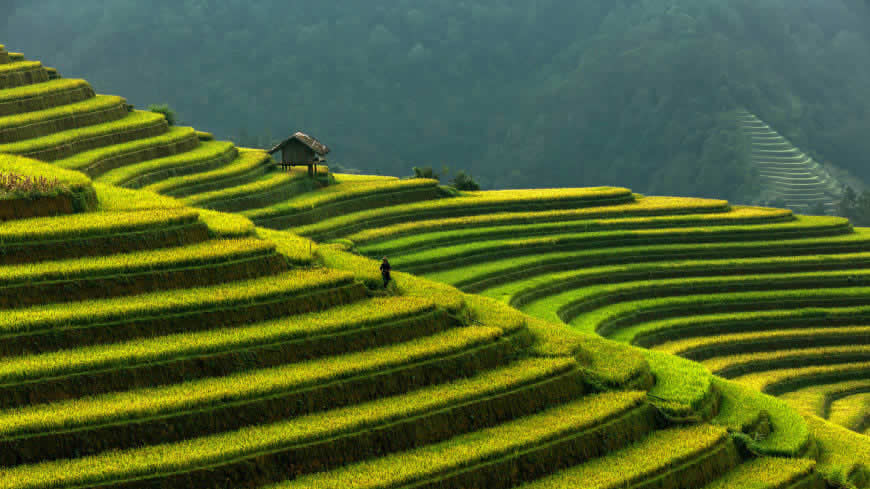 越南穆苍寨梯田风光高清壁纸图片 5120x2880