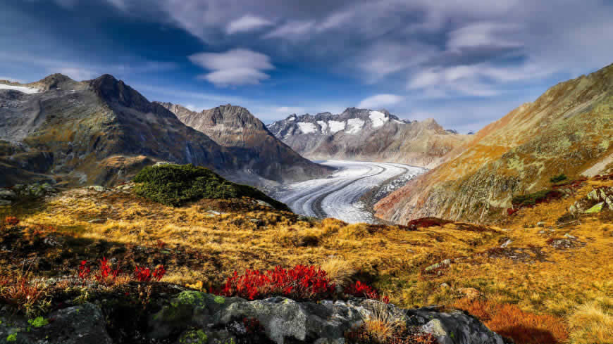 瑞士阿尔卑斯山脉阿莱奇冰川风景高清壁纸图片 3840x2160