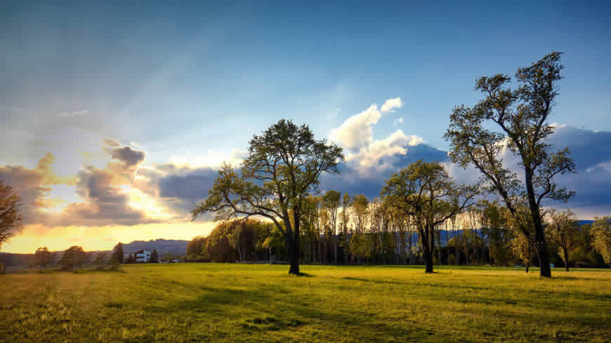 奥地利恩格尔维茨多夫野外蓝天草原和树木高清壁纸图片 3840x2160