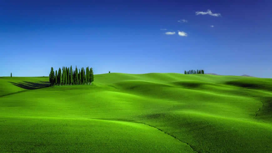 意大利托斯卡纳蓝天下的绿色草原风光高清壁纸图片 5120x2880