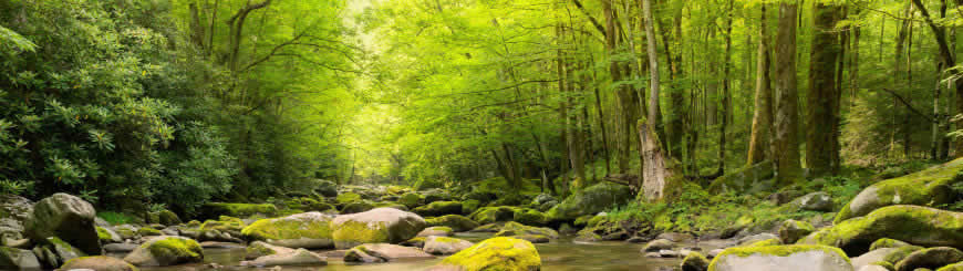 山涧溪流高清壁纸图片 5120x1440
