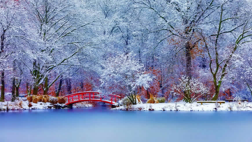 唯美冬天雪景高清壁纸图片 1920x1080