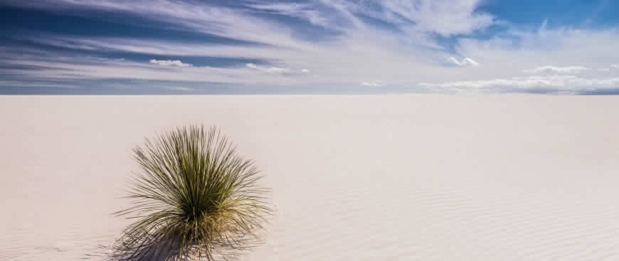新墨西哥州白色沙漠高清壁纸图片 2560x1080