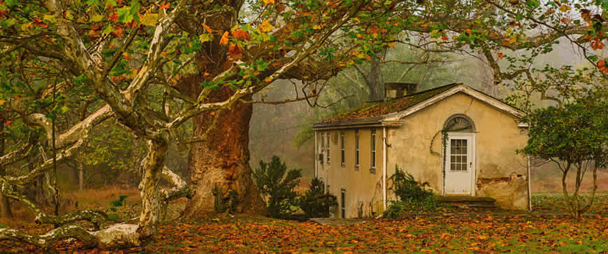 秋天梧桐树下的老房子高清壁纸图片 3440x1440