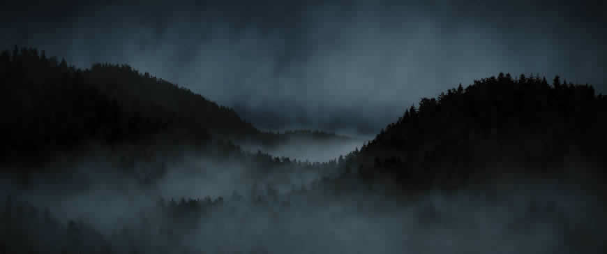 夜晚迷雾森林高清壁纸图片 3440x1440