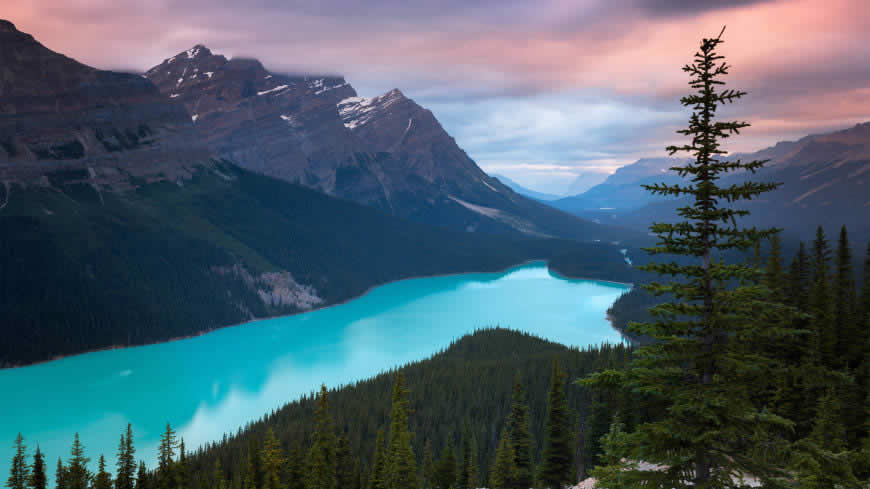 加拿大班夫国家公园梦莲湖美景高清壁纸图片 3840x2160