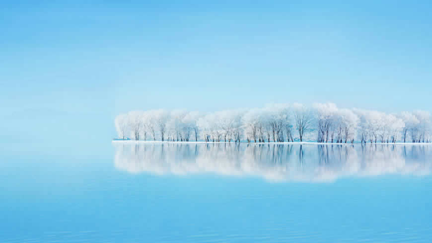 霜树湖中倒影高清壁纸图片 2560x1440