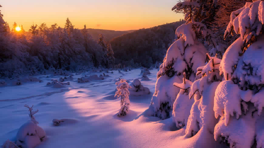 冬天日出雪景高清壁纸图片 2560x1440