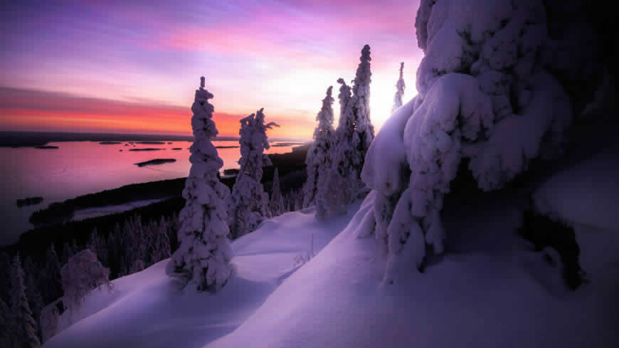 冰雪覆盖的树木雪景高清壁纸图片 3840x2160