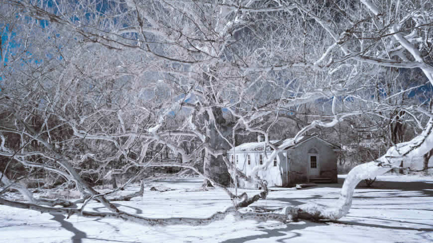 雪中的白色树木和房子高清壁纸图片 3840x2160