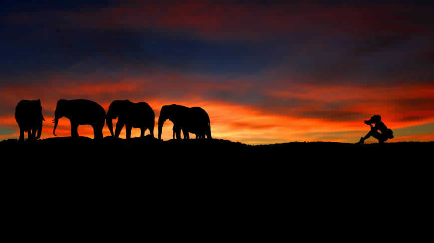 日落摄影师和大象剪影高清壁纸图片 3840x2160