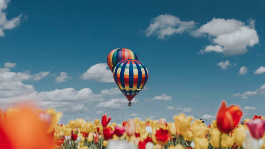热气球和郁金香高清壁纸图片 2560x1440
