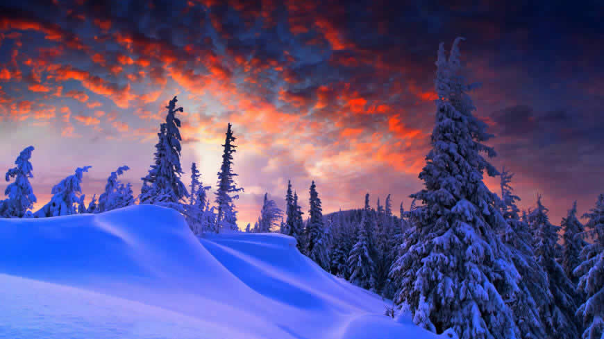 冬天的雪景高清壁纸图片 7680x4320