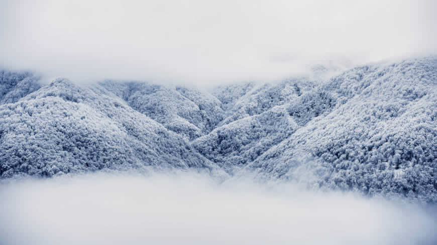 大雪覆盖的山林高清壁纸图片 5120x2880