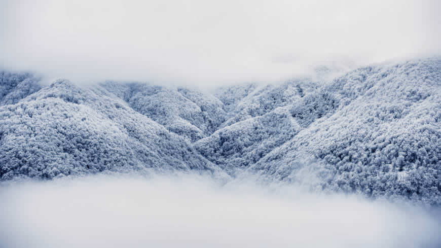 大雪覆盖的山林高清壁纸图片 3840x2160