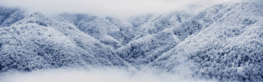 大雪覆盖的山林高清壁纸图片 3840x1200