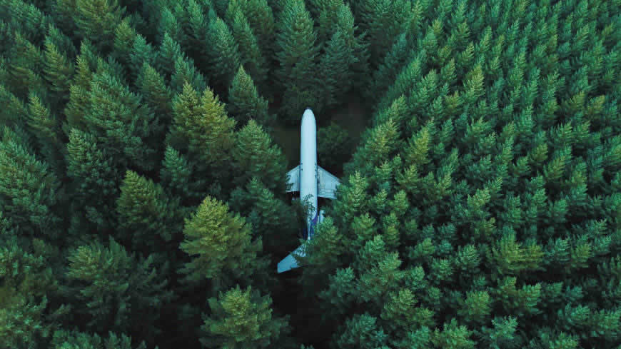 丛林里的飞机高清壁纸图片 3840x2160