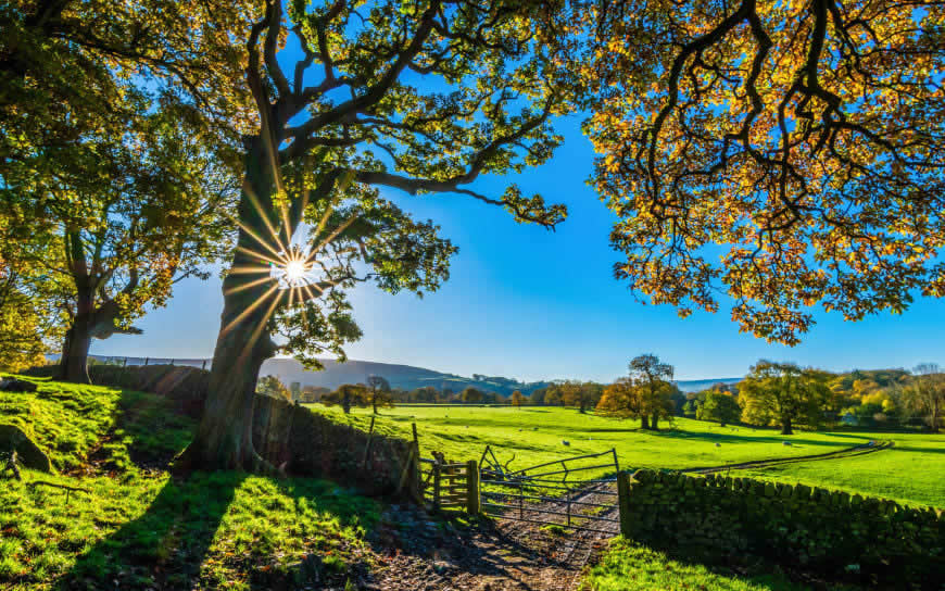 美丽的英格兰自然乡村风光高清壁纸图片 3840x2400