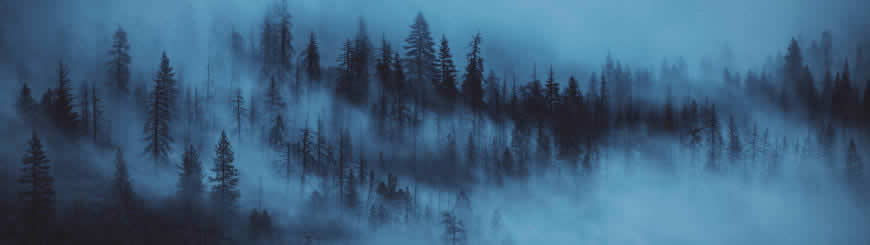 浓雾弥漫的森林高清壁纸图片 3840x1080