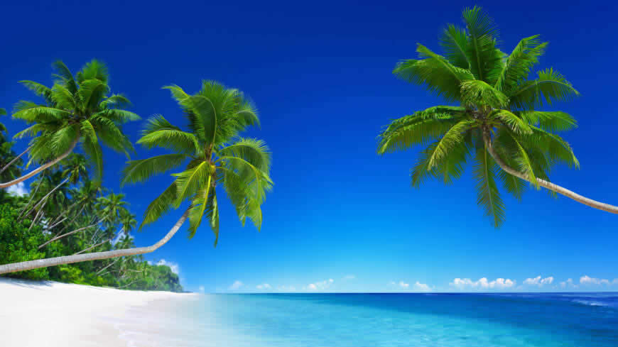 美丽的热带海滩风景高清壁纸图片 3840x2160
