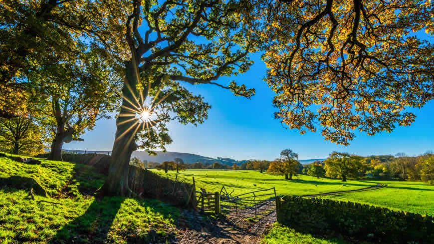 美丽的英格兰自然乡村风光高清壁纸图片 3840x2160