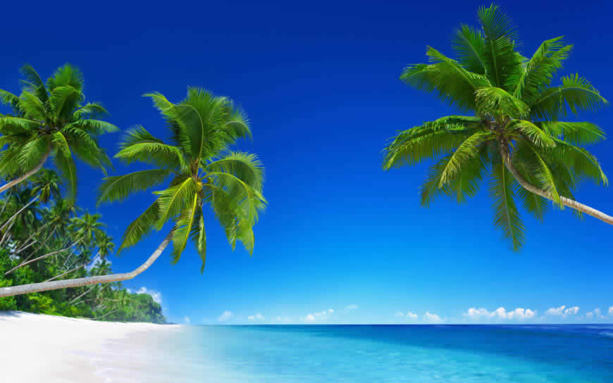 美丽的热带海滩风景高清壁纸图片 3840x2400