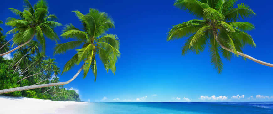 美丽的热带海滩风景高清壁纸图片 3440x1440