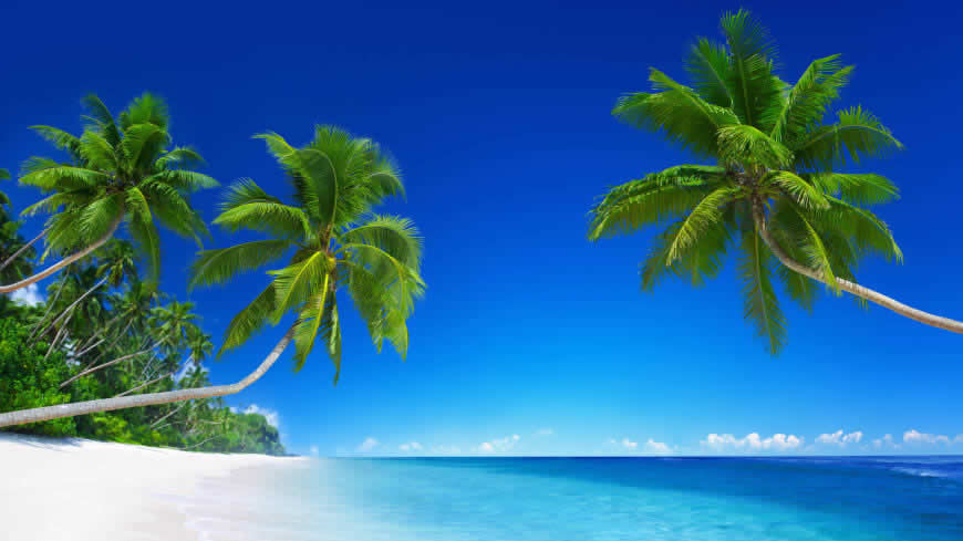 美丽的热带海滩风景高清壁纸图片 5120x2880