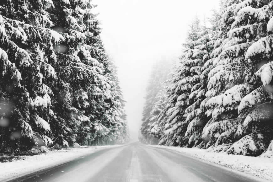 大雪覆盖的道路和森林高清壁纸图片 3000x2000