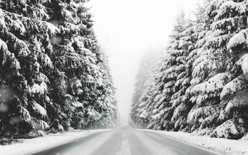 大雪覆盖的道路和森林高清壁纸图片 3840x2400