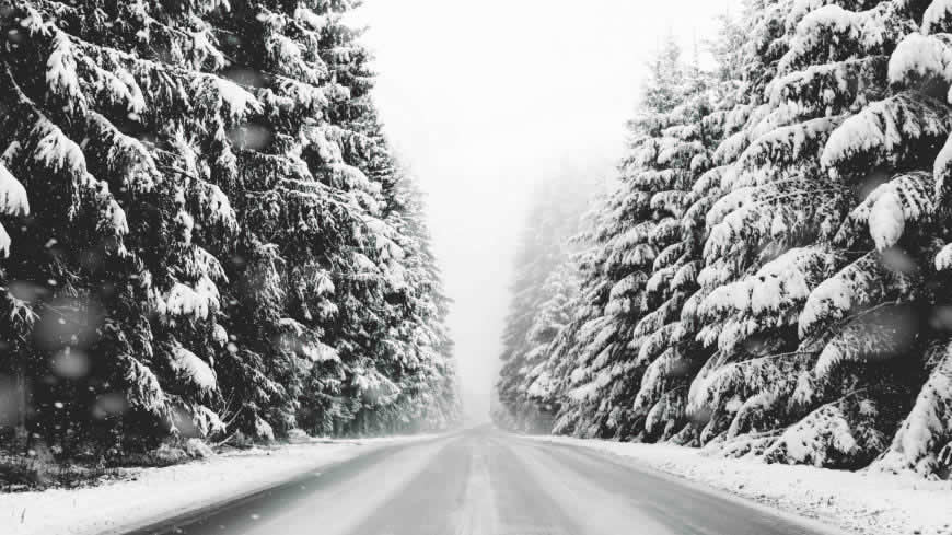 大雪覆盖的道路和森林高清壁纸图片 5120x2880