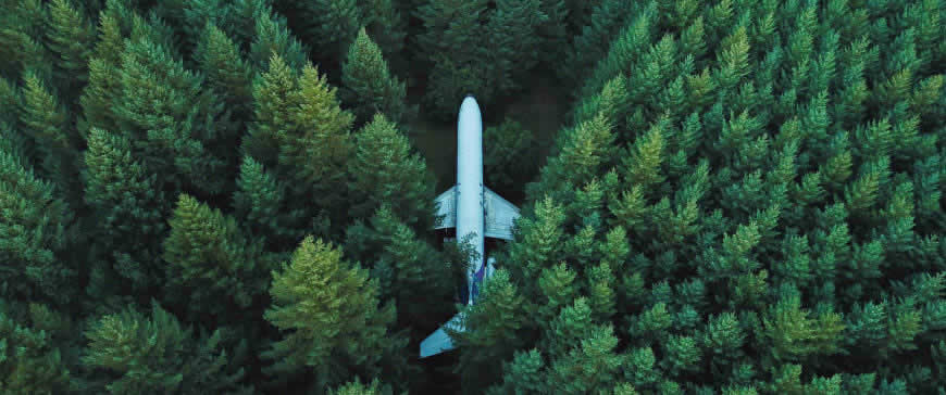 丛林里的飞机高清壁纸图片 3440x1440