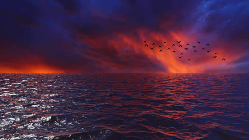 日落时的大海美景高清壁纸图片 5120x2880