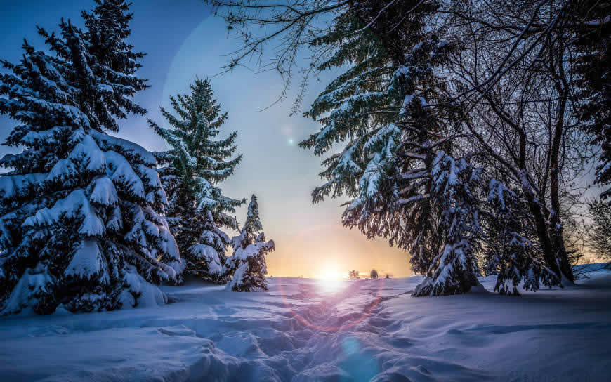 冬天的雪景高清壁纸图片 3840x2400